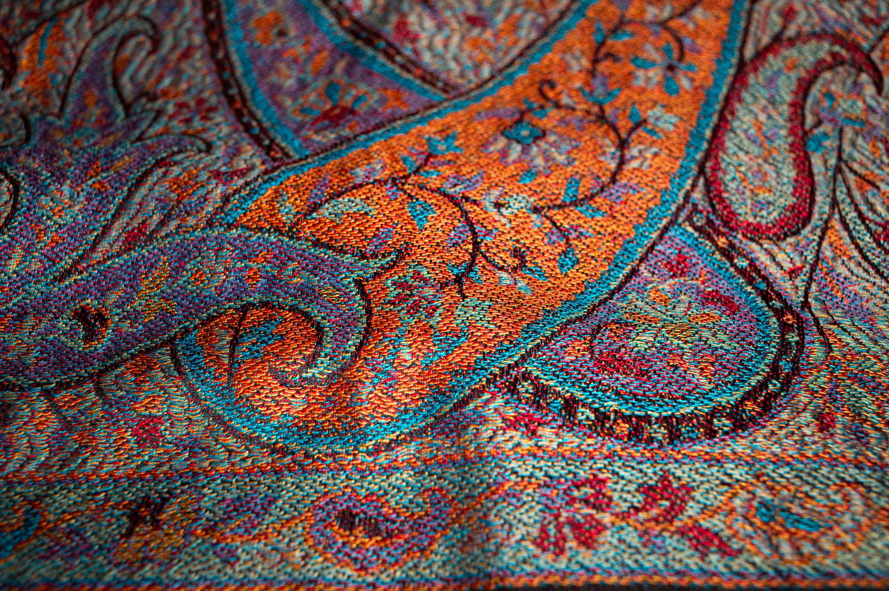 Italy Merino